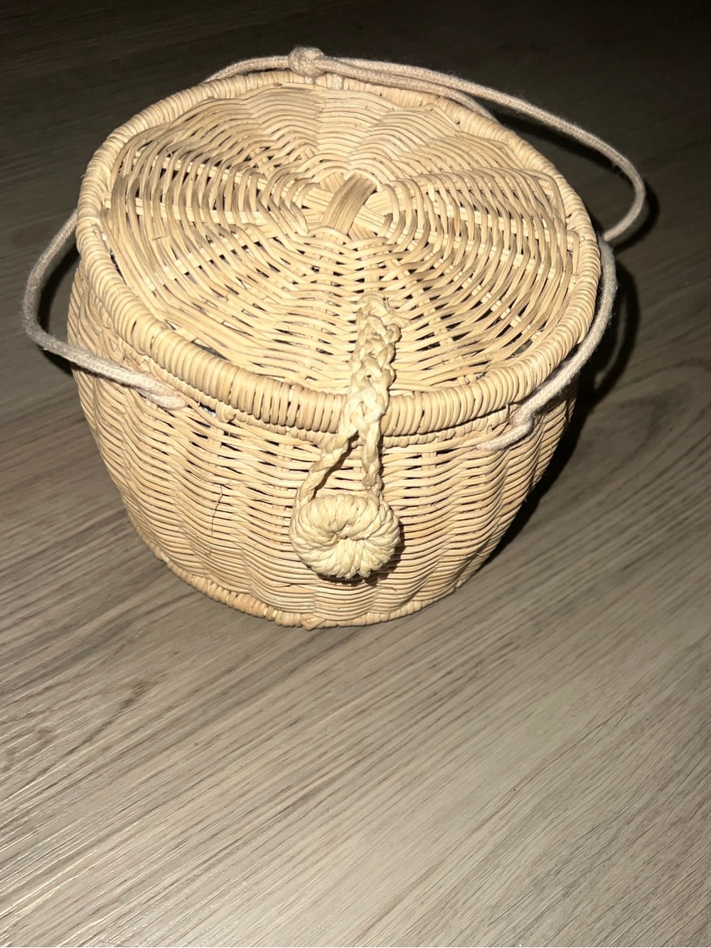Zara Straw Woven Circular Bag – Rope Handle, Gingham Lining